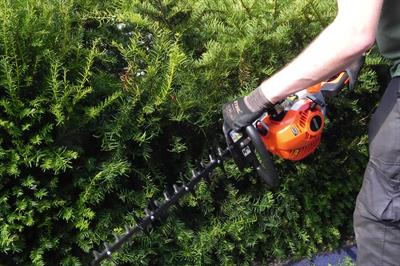 Echo HC-1501 hedgetrimmer - image: HW